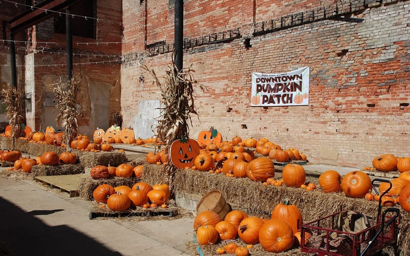 The fall pumpkin market in downtown Paris, Texas