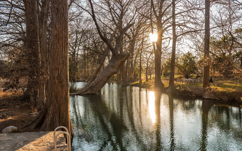 Cypress trees shading the swimming area at Blue Hole Regional Park in Wimberley, Texas