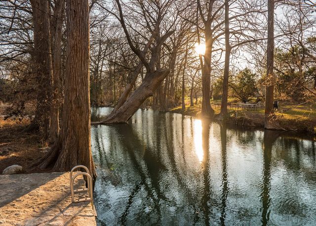 Cypress trees shading the swimming area at Blue Hole Regional Park in Wimberley, Texas